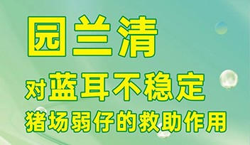 園蘭清對(duì)藍(lán)耳不穩(wěn)定豬場(chǎng)弱仔的救助作用！